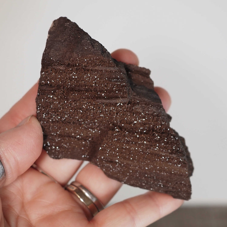 Permineralized Wood