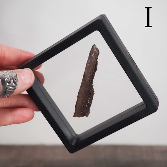 Permineralized Sparkling Fossil Wood from Germany in Floating Displays (I-M) - You choose!