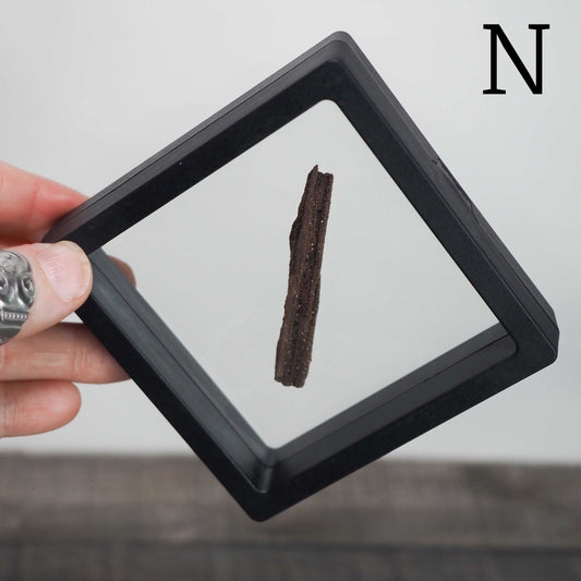 Permineralized Sparkling Fossil Wood from Germany in Floating Displays (N-R) - You choose!