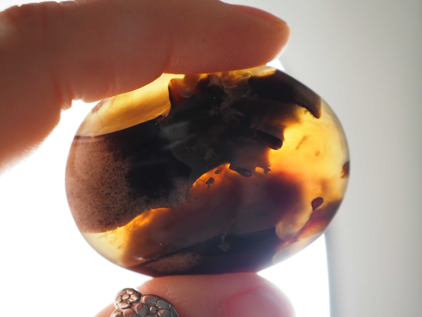 Amber Palmstones
