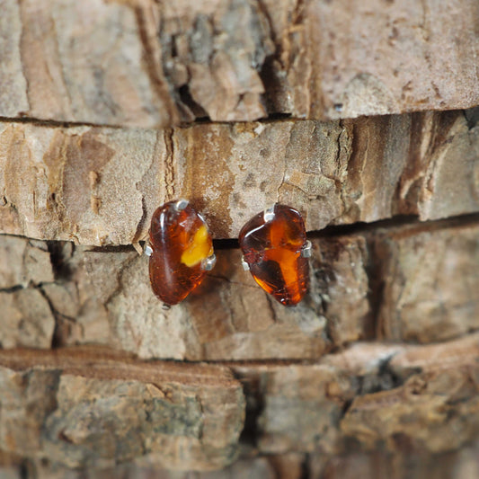 Amber Stud Earrings
