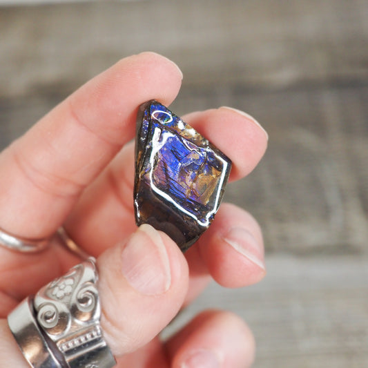 Ammolite from Alberta, Canada AA04