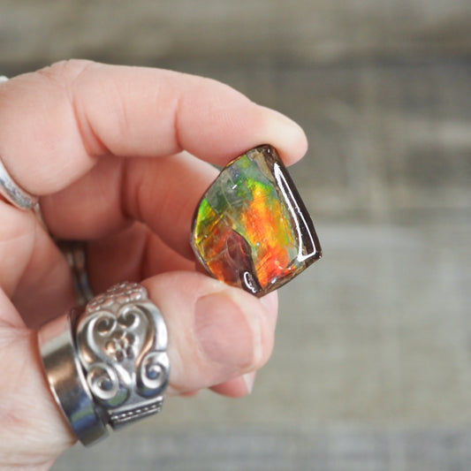 Ammolite from Alberta, Canada AA06