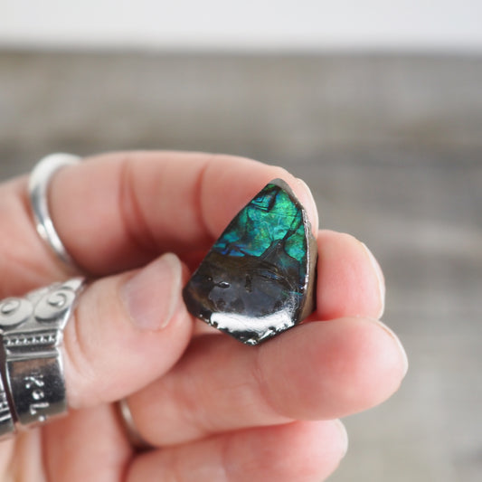 Ammolite from Alberta, Canada AA07