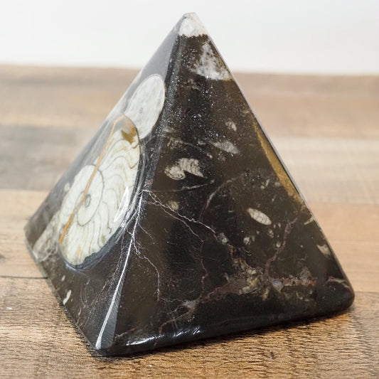 Ammonite & Orthoceras Fossil Pyramids