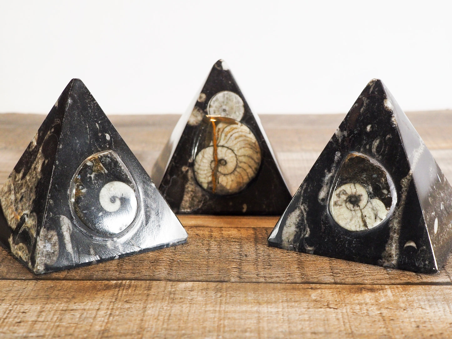 Ammonite & Orthoceras Fossil Pyramids