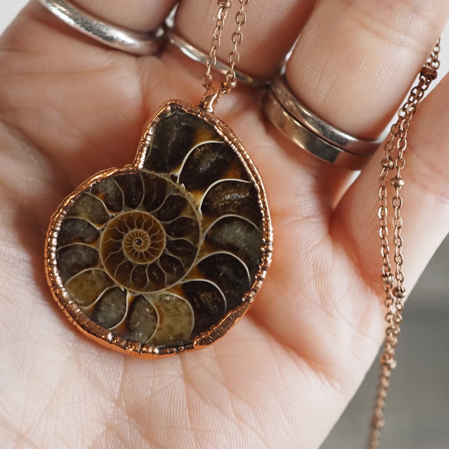 Copper Ammonite Necklace