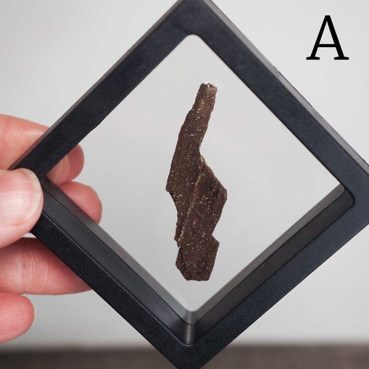 Permineralized Sparkling Fossil Wood from Germany in Small Floating Displays - You choose!