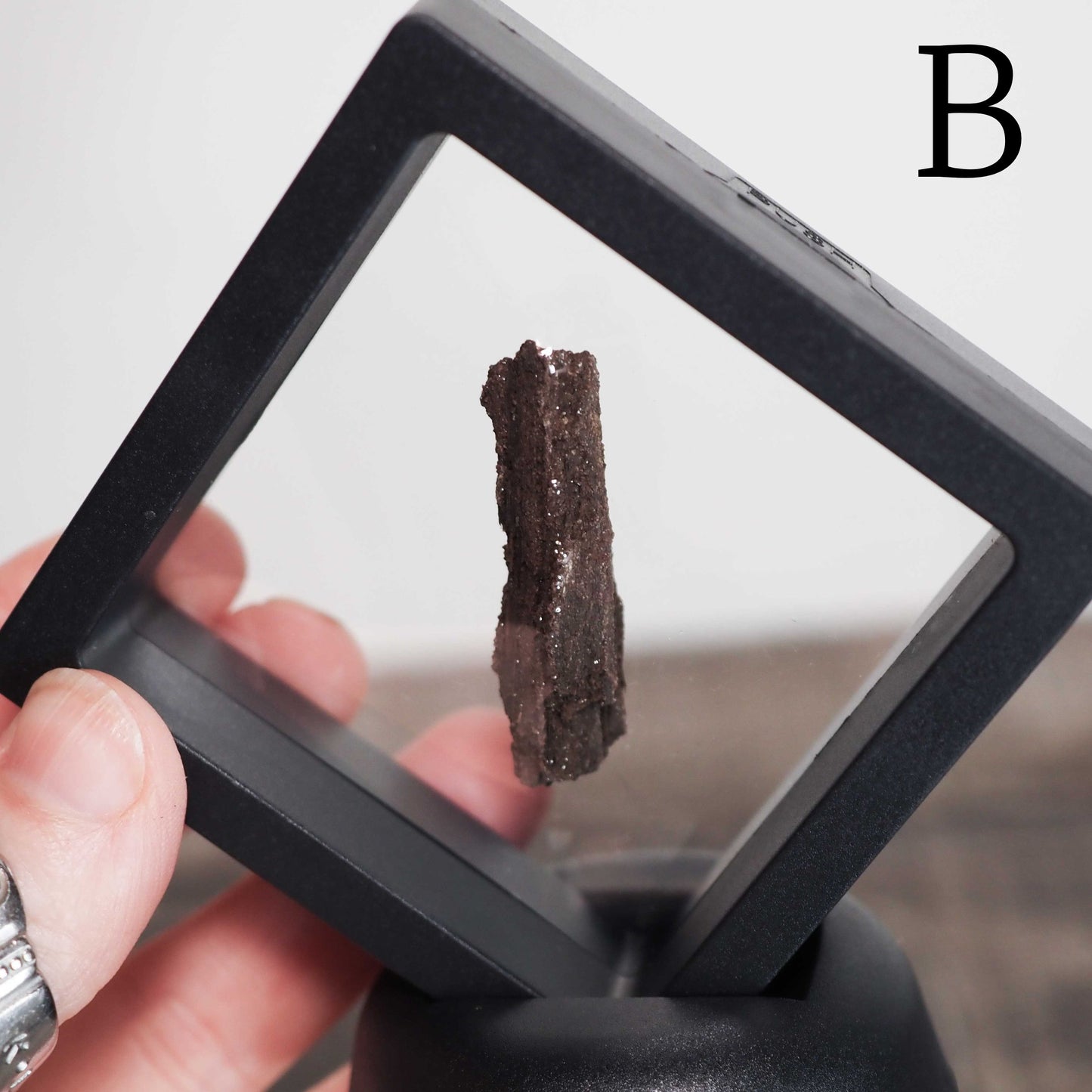 Permineralized Sparkling Fossil Wood from Germany in Small Floating Displays - You choose!