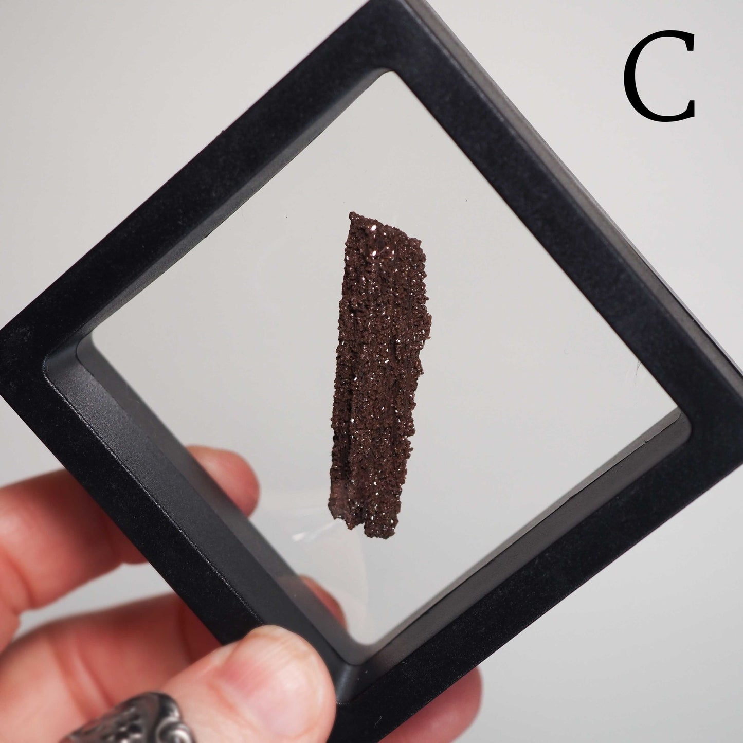 Permineralized Sparkling Fossil Wood from Germany in Small Floating Displays - You choose!