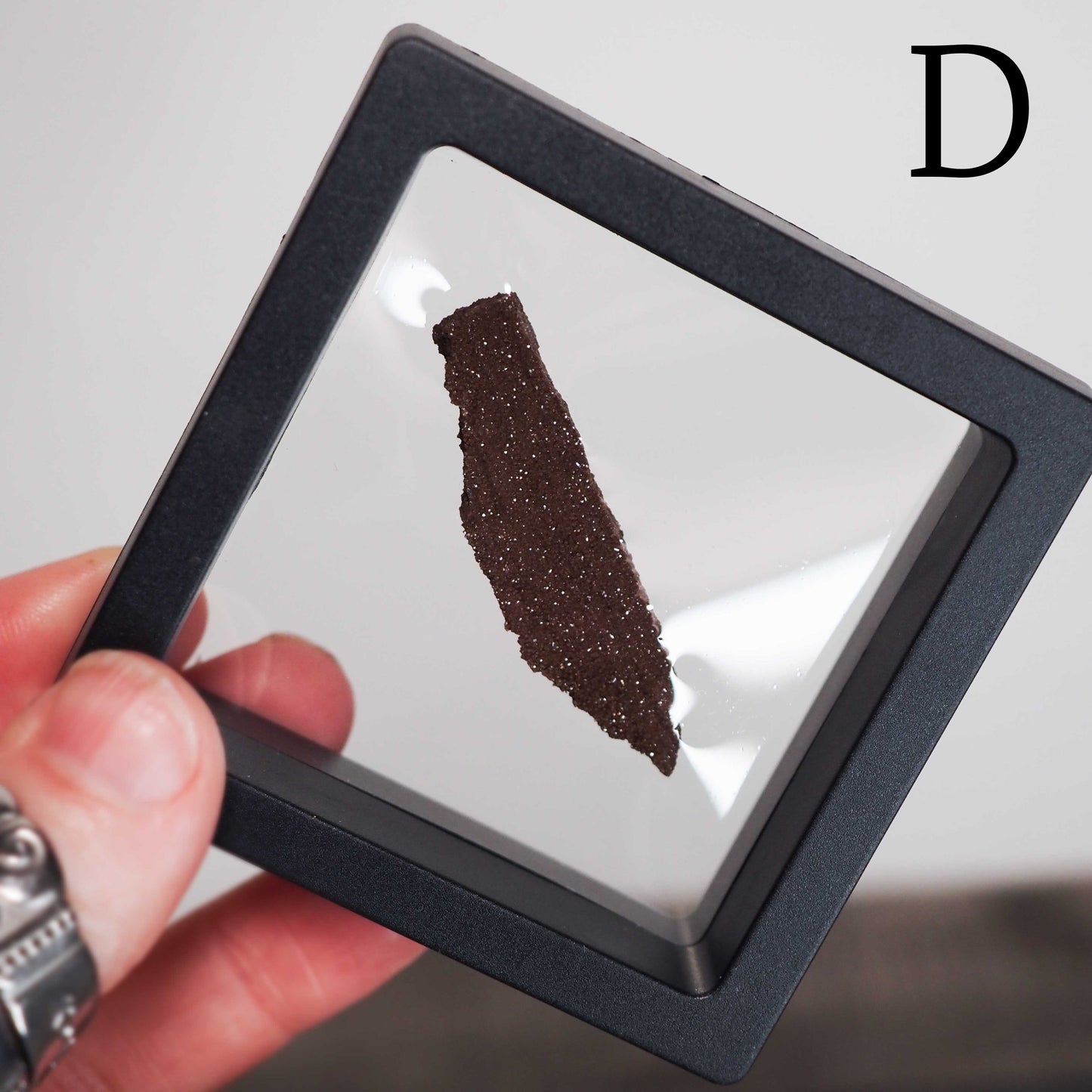 Permineralized Sparkling Fossil Wood from Germany in Small Floating Displays - You choose!