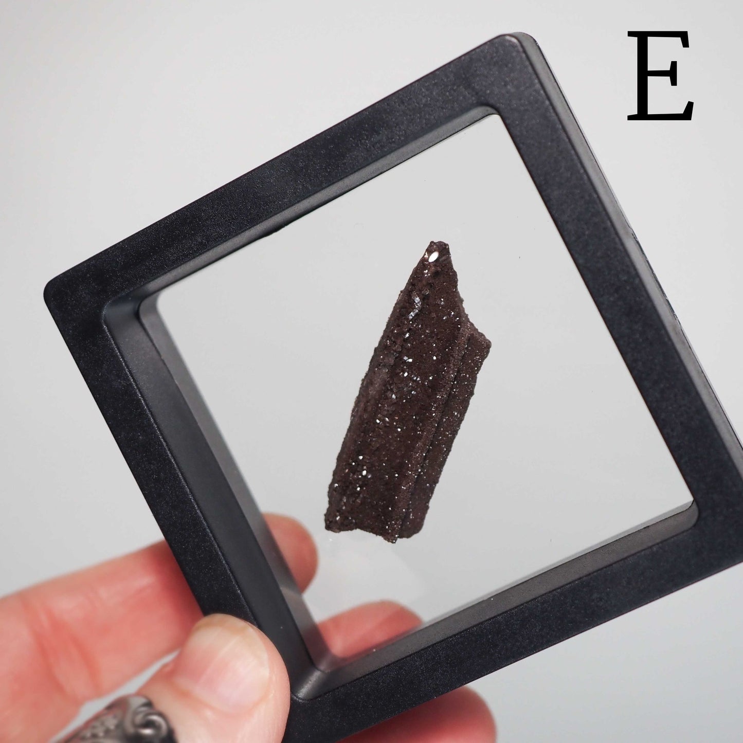 Permineralized Sparkling Fossil Wood from Germany in Small Floating Displays - You choose!