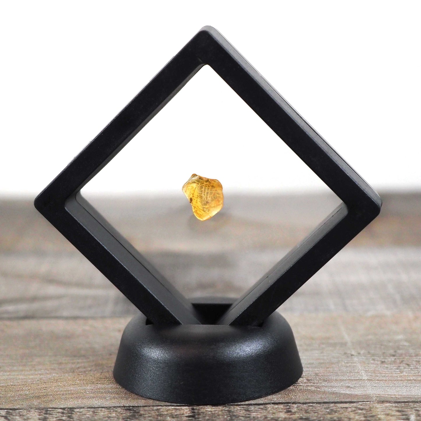 Baltic Amber AA02 with 2 Wasp Inclusions