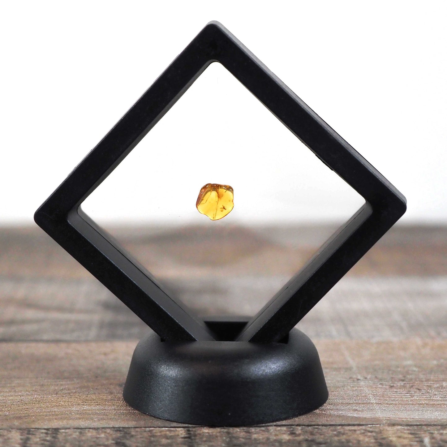 Baltic Amber AA03 with Beetle inclusion
