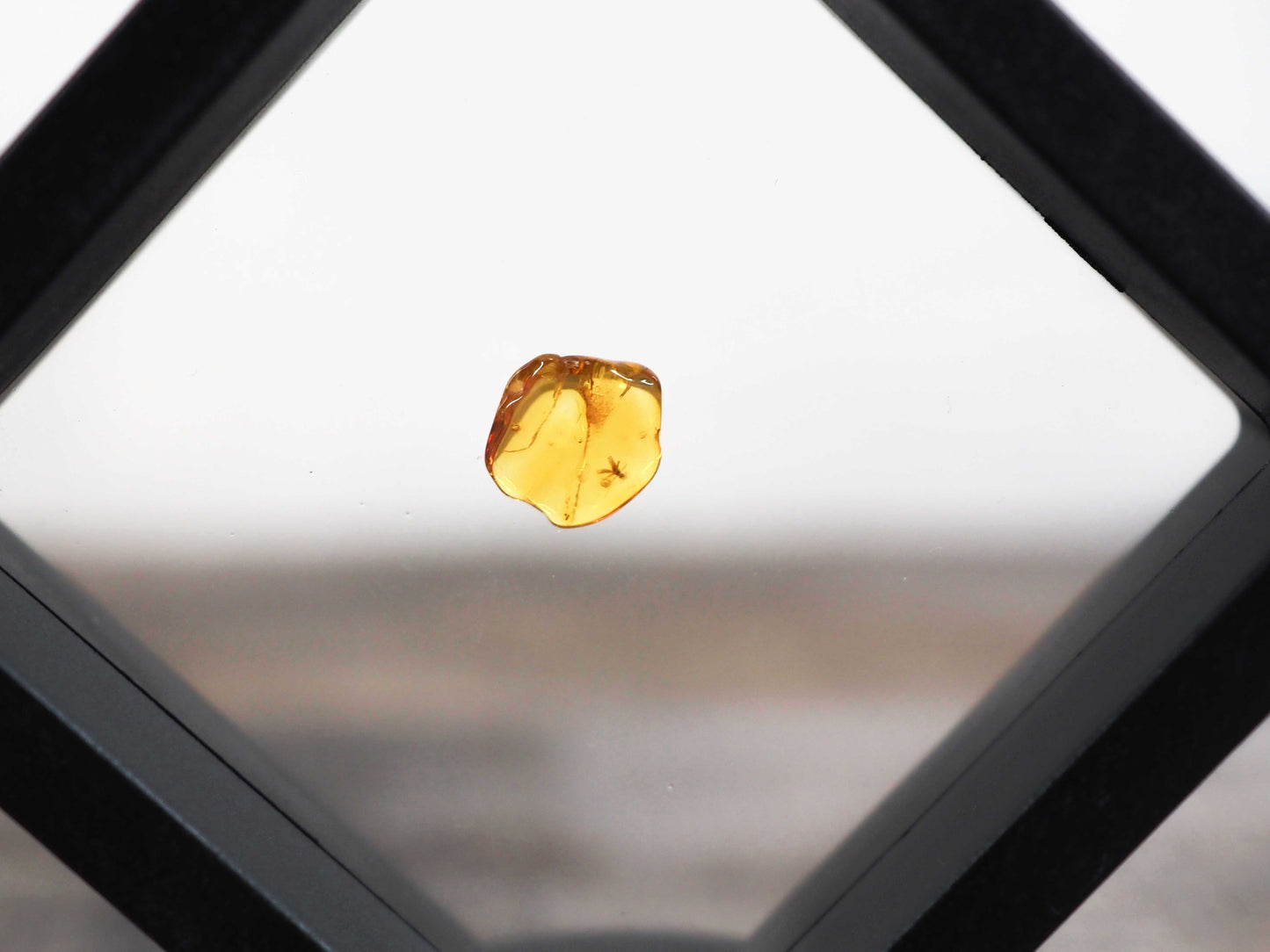 Baltic Amber AA03 with Beetle inclusion