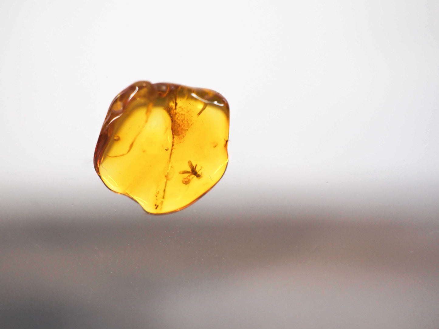 Baltic Amber AA03 with Beetle inclusion