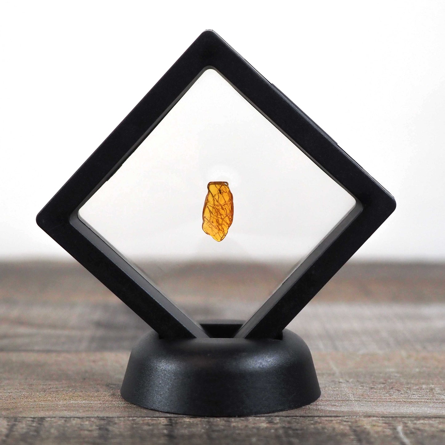 Baltic Amber AA04 with Wasp inclusion