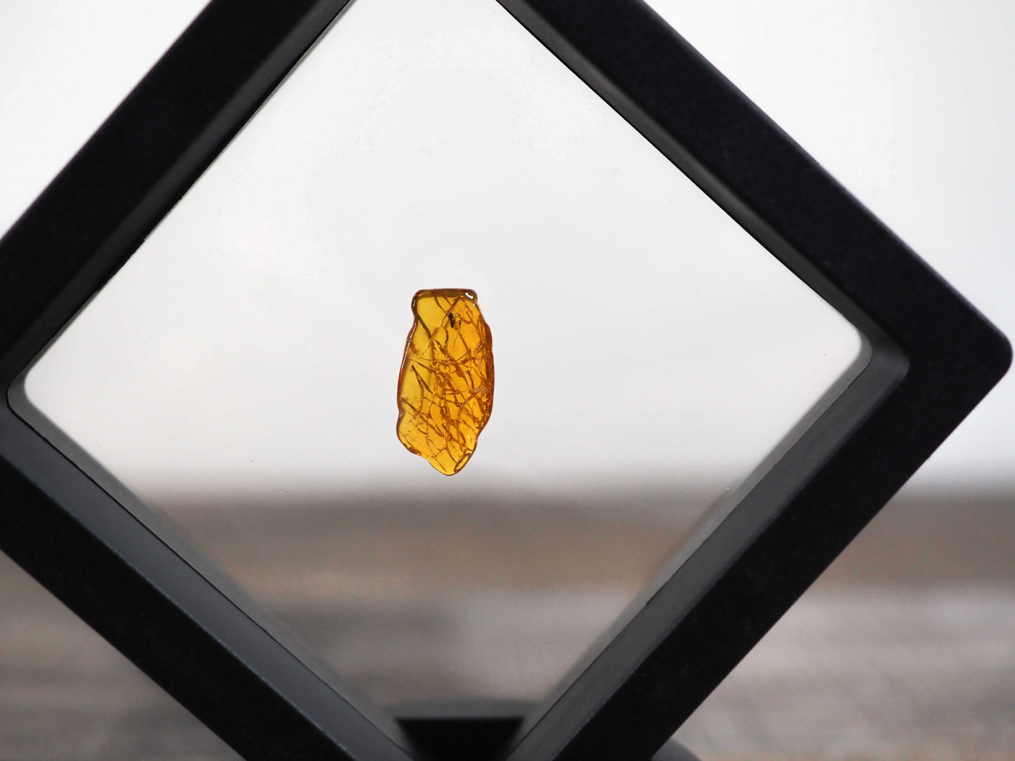 Baltic Amber AA04 with Wasp inclusion