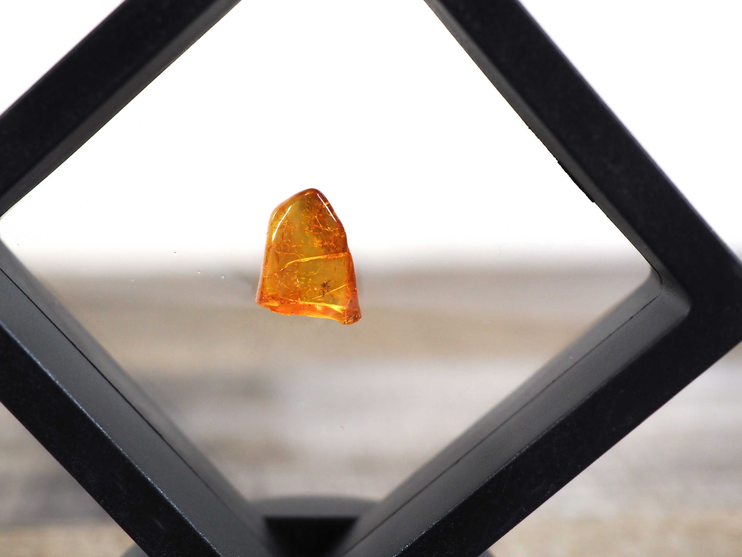 Baltic Amber AA06 with Fly inclusion