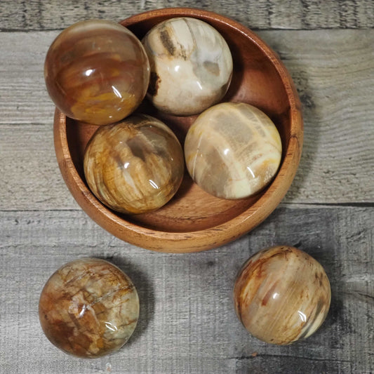 Petrified Wood Spheres from Brazil