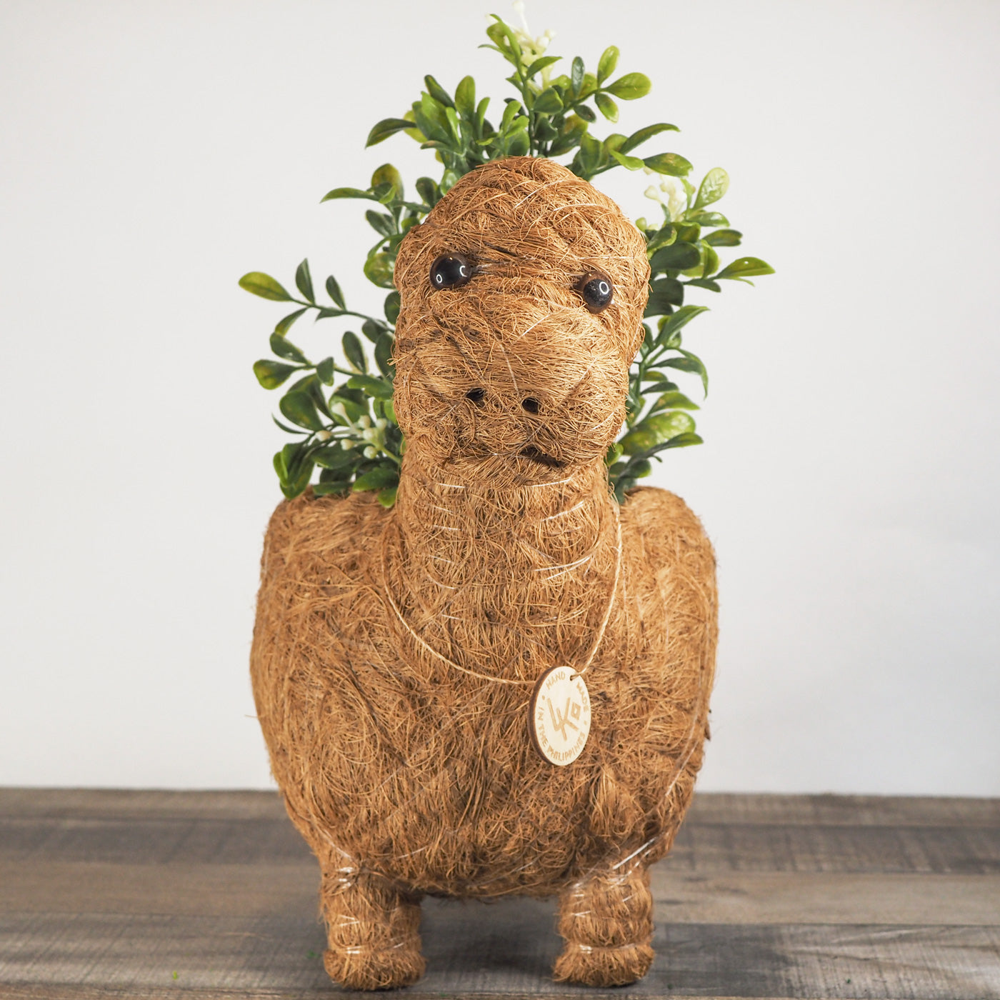 Animal Planter - Brontosaurus Dinosaur