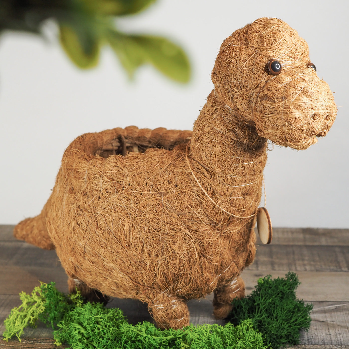 Animal Planter - Brontosaurus Dinosaur