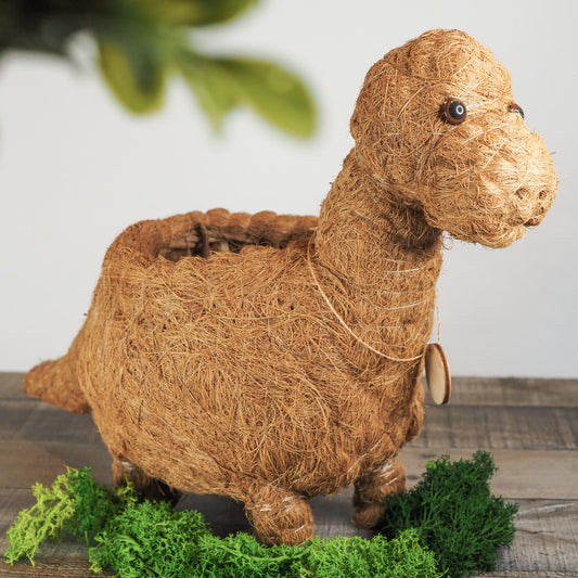 Animal Planter - Brontosaurus Dinosaur