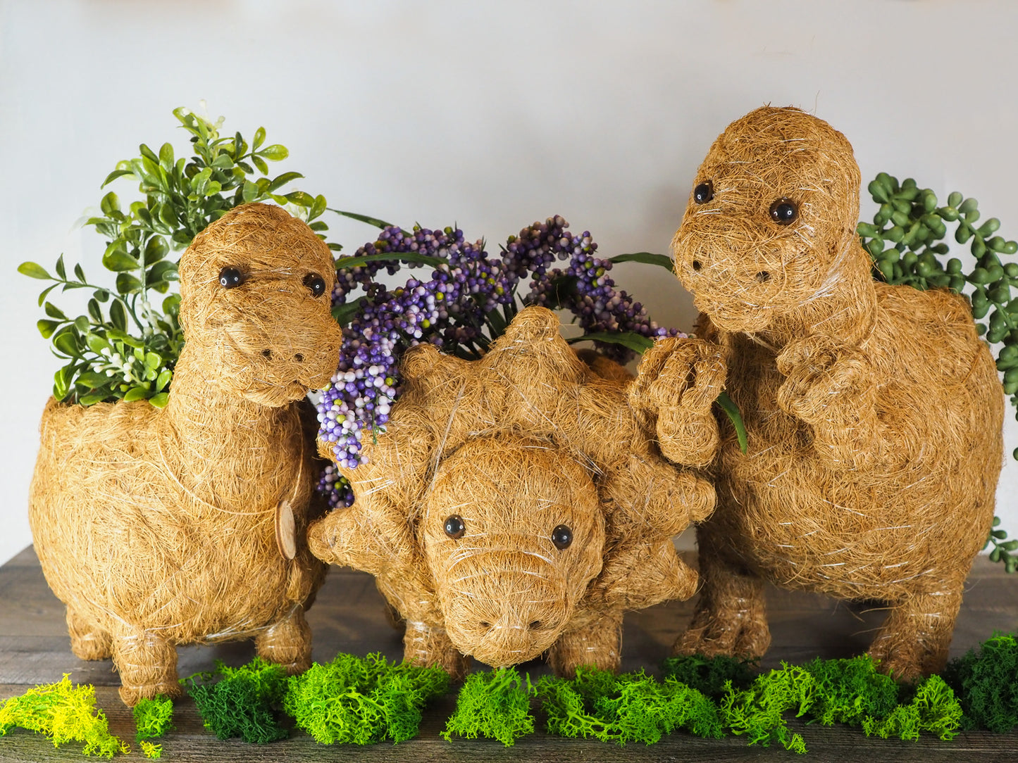 Animal Planter - Brontosaurus Dinosaur