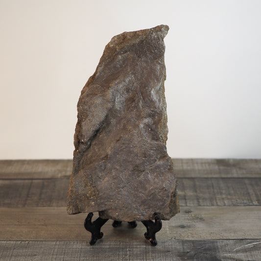Dinosaur Footprint Track from Connecticut - Grallator C