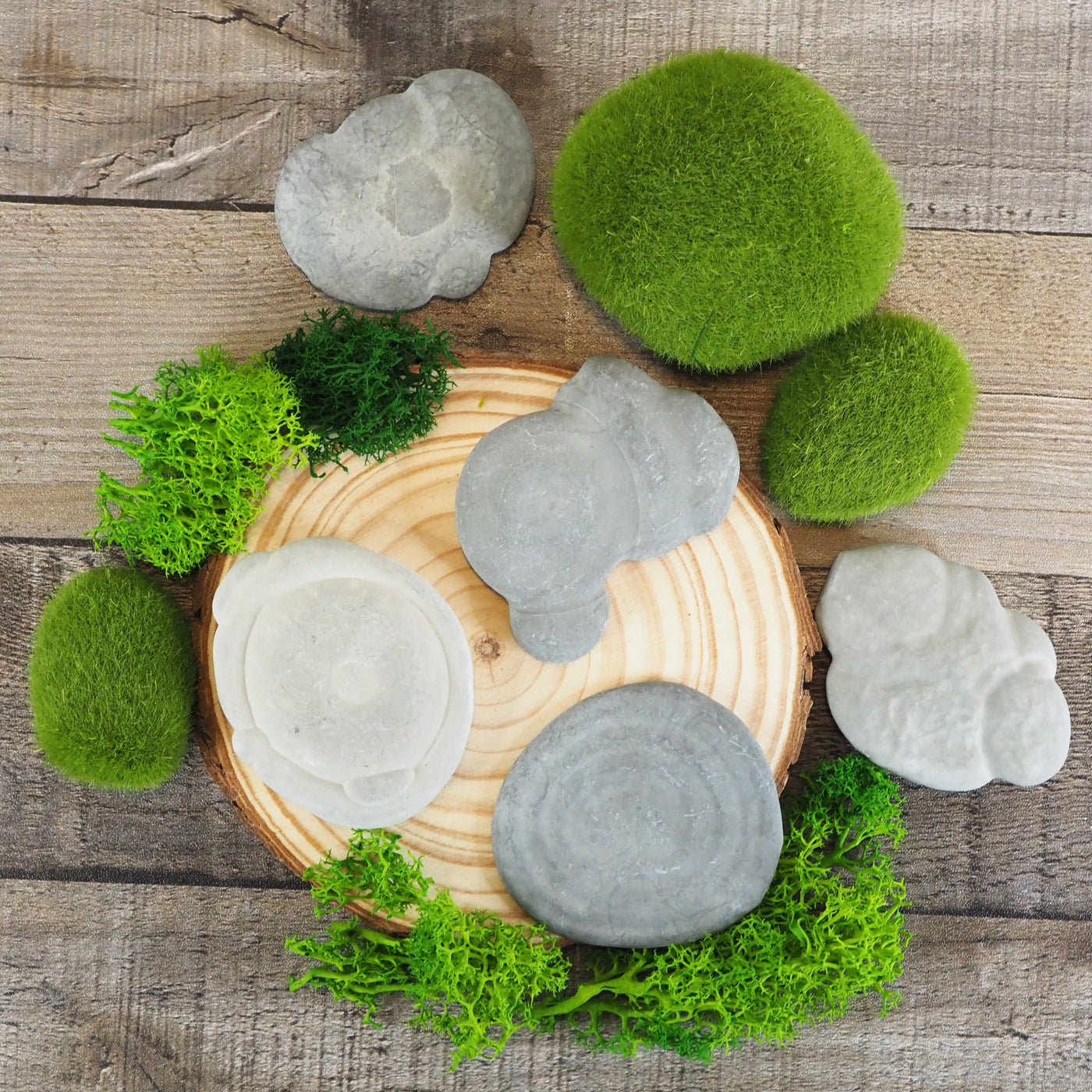 Fascinating Fairy Stones Concretions
