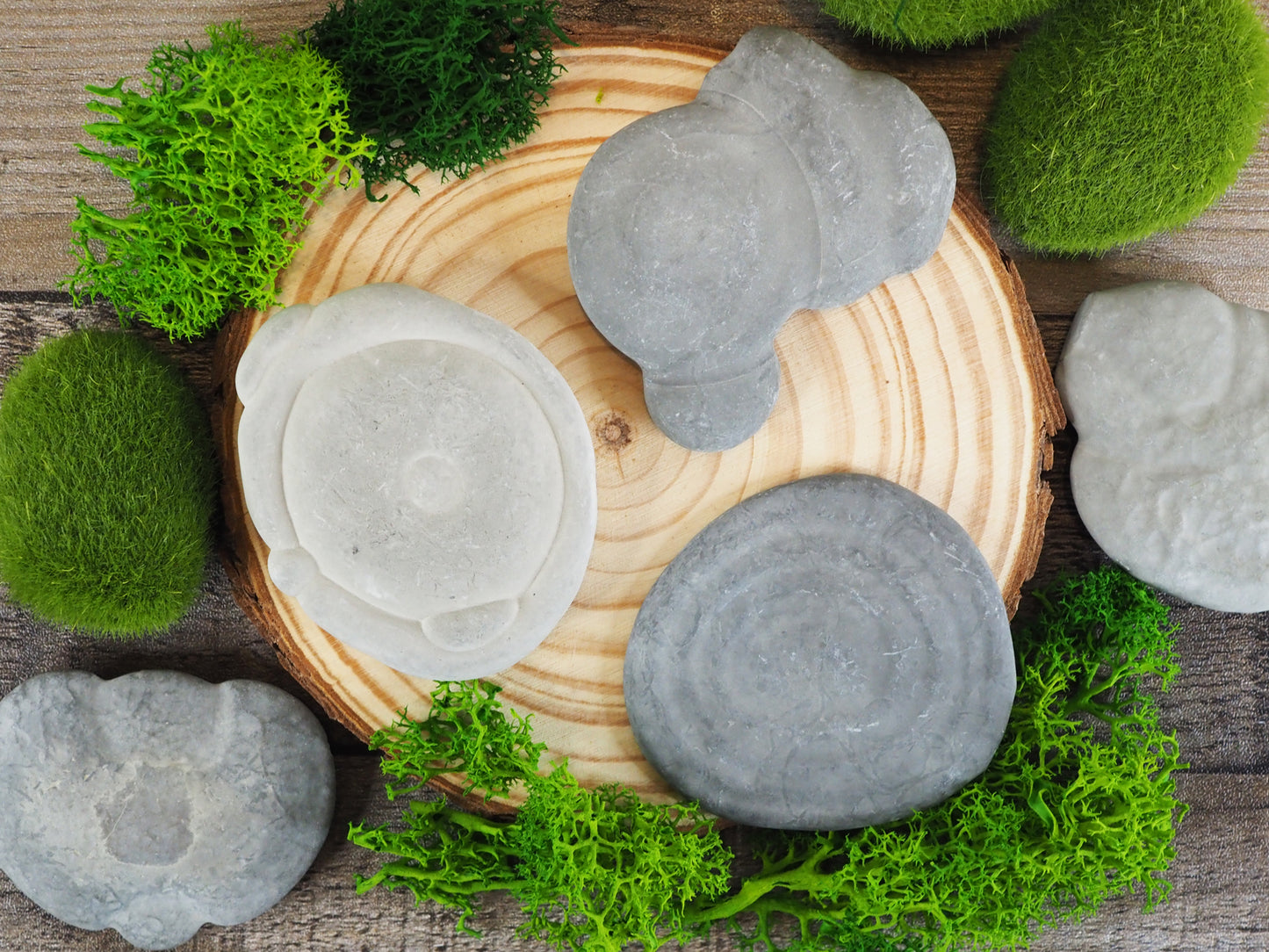 Fascinating Fairy Stones Concretions