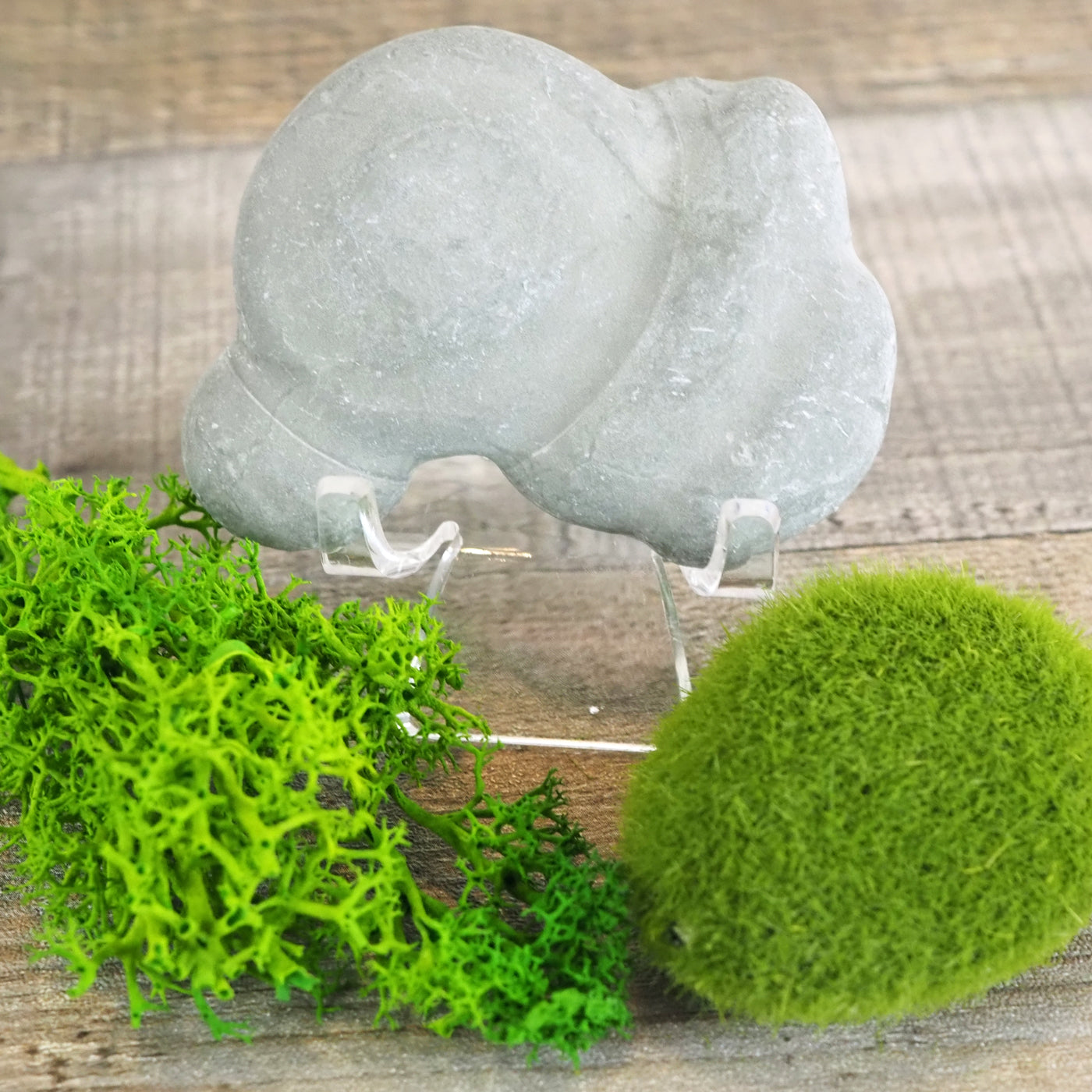 Fascinating Fairy Stones Concretions