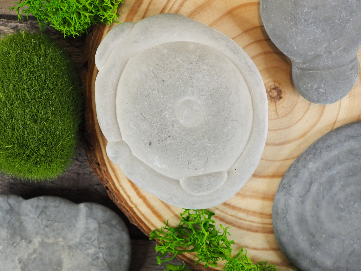Fascinating Fairy Stones Concretions