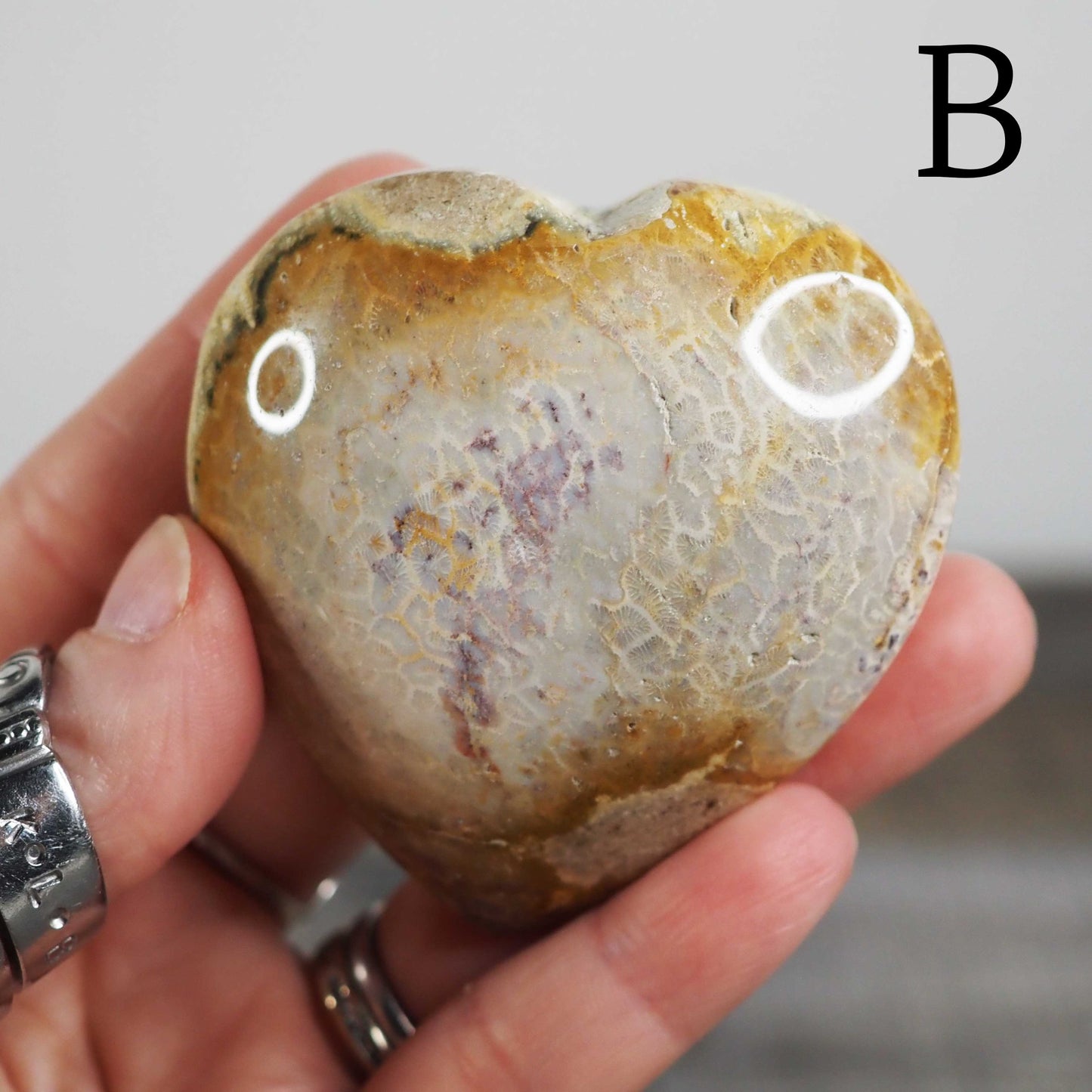 Fossilized Coral Heart Palmstone Carvings - Choose Your Own
