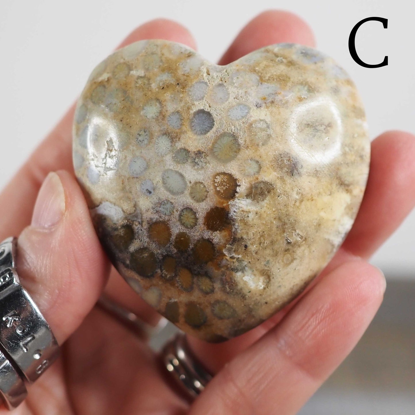 Fossilized Coral Heart Palmstone Carvings - Choose Your Own