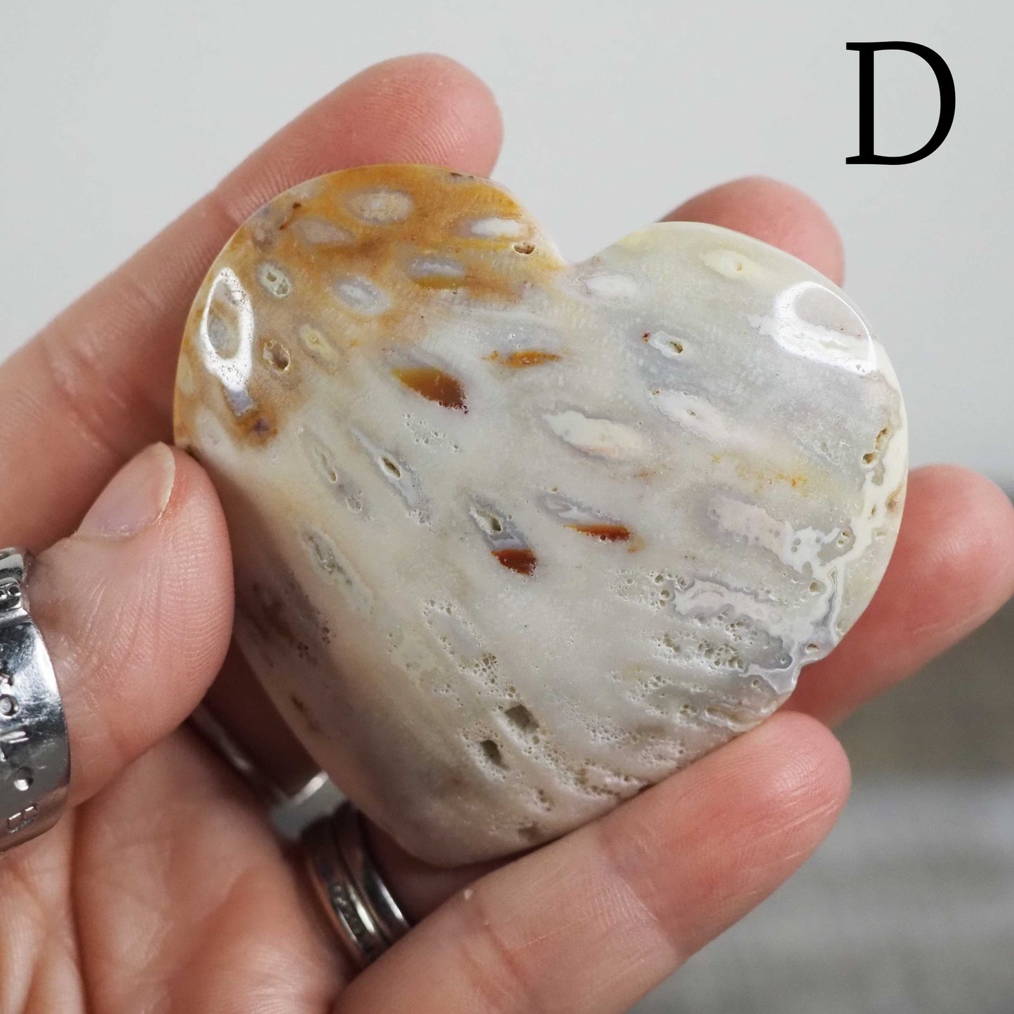 Fossilized Coral Heart Palmstone Carvings - Choose Your Own