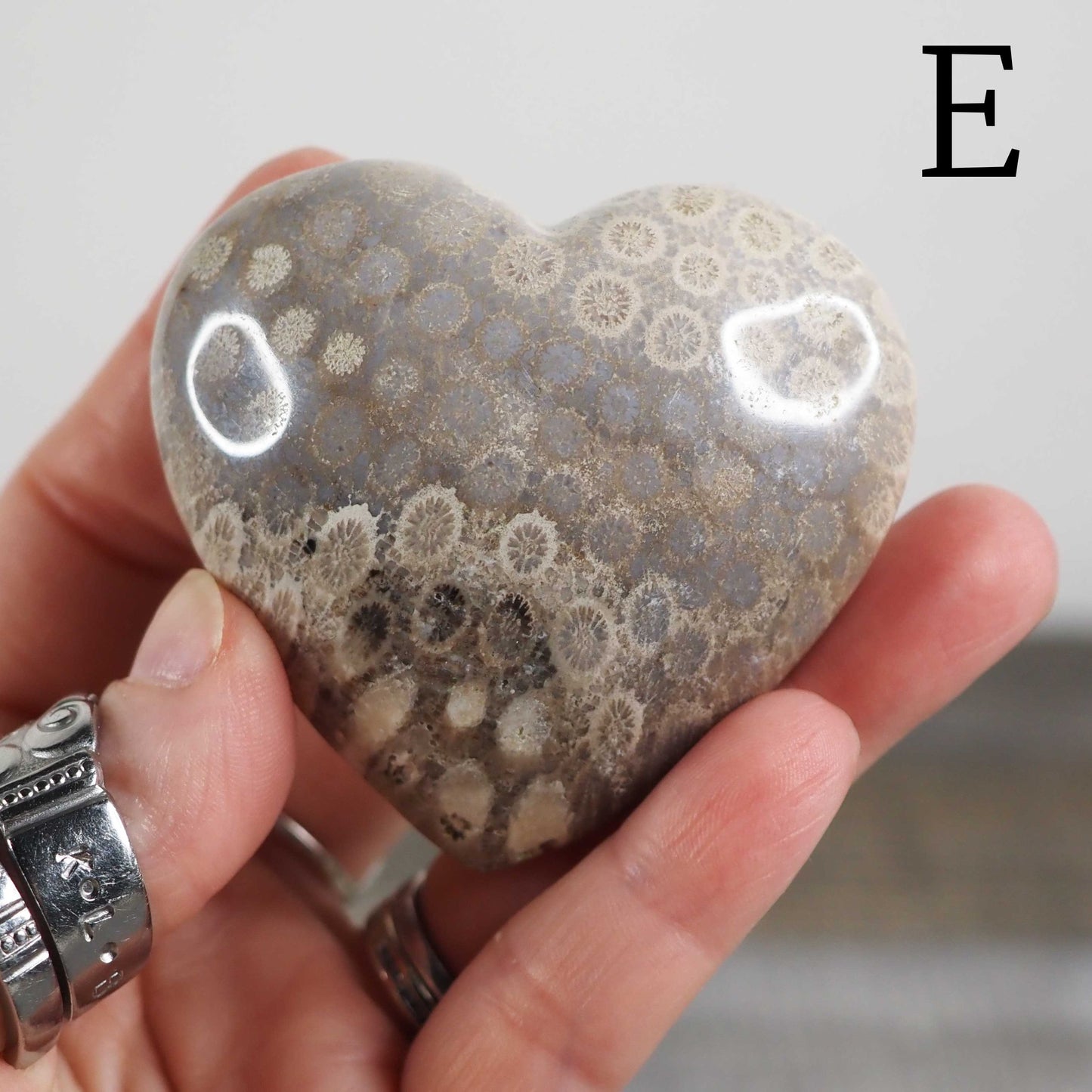 Fossilized Coral Heart Palmstone Carvings - Choose Your Own