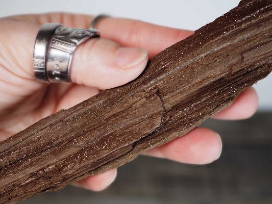 Permineralized Sparkling Fossil Wood from Germany (01)