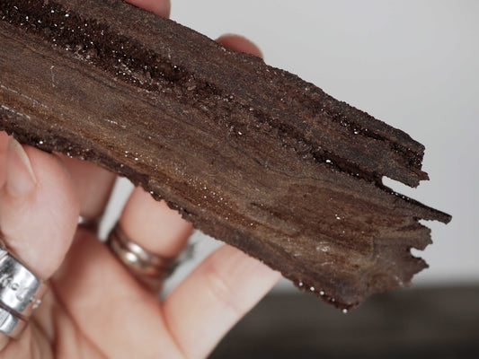 Permineralized Sparkling Fossil Wood from Germany (03)