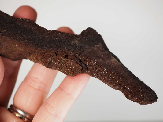 Permineralized Sparkling Fossil Wood from Germany (04)