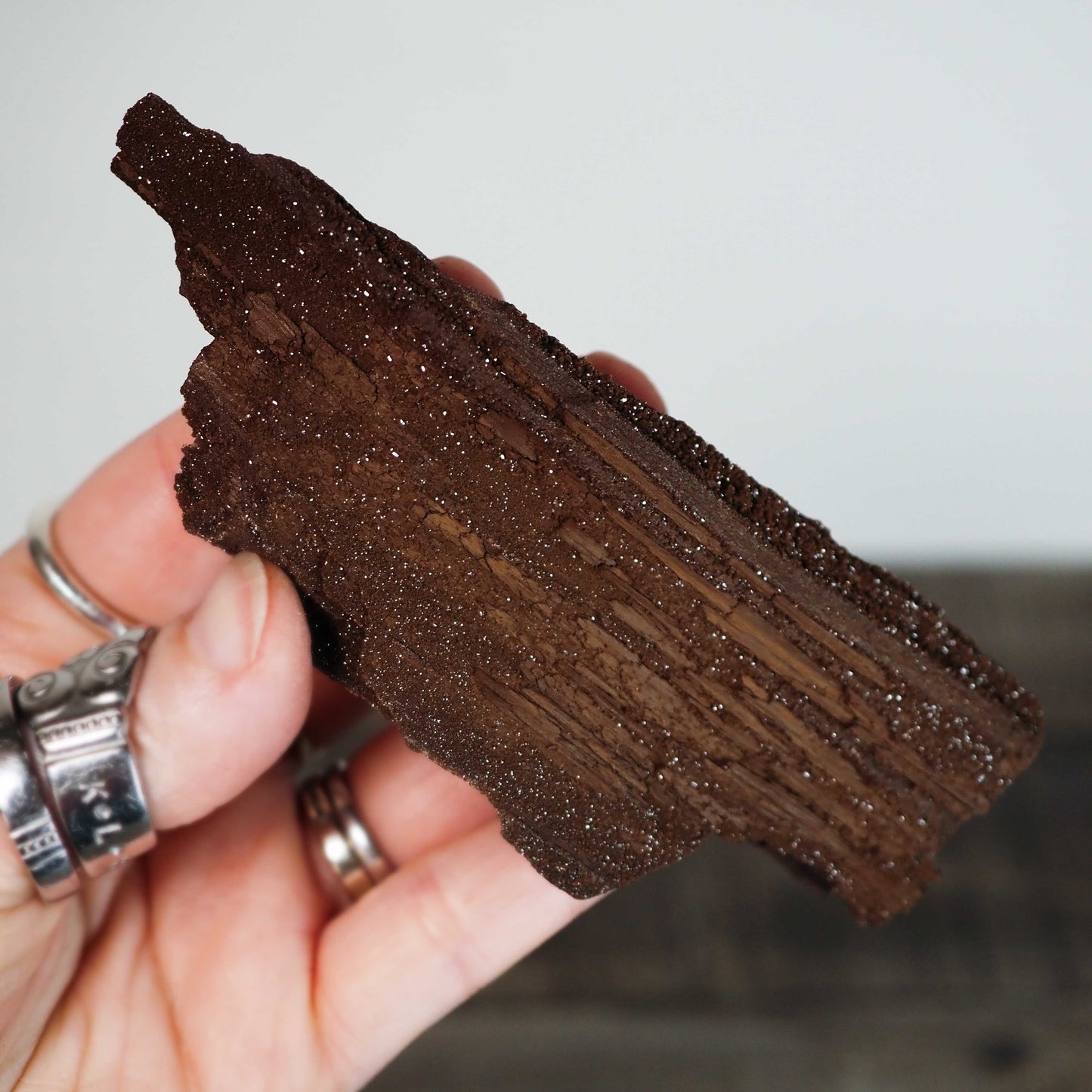 Permineralized Sparkling Fossil Wood from Germany (06)