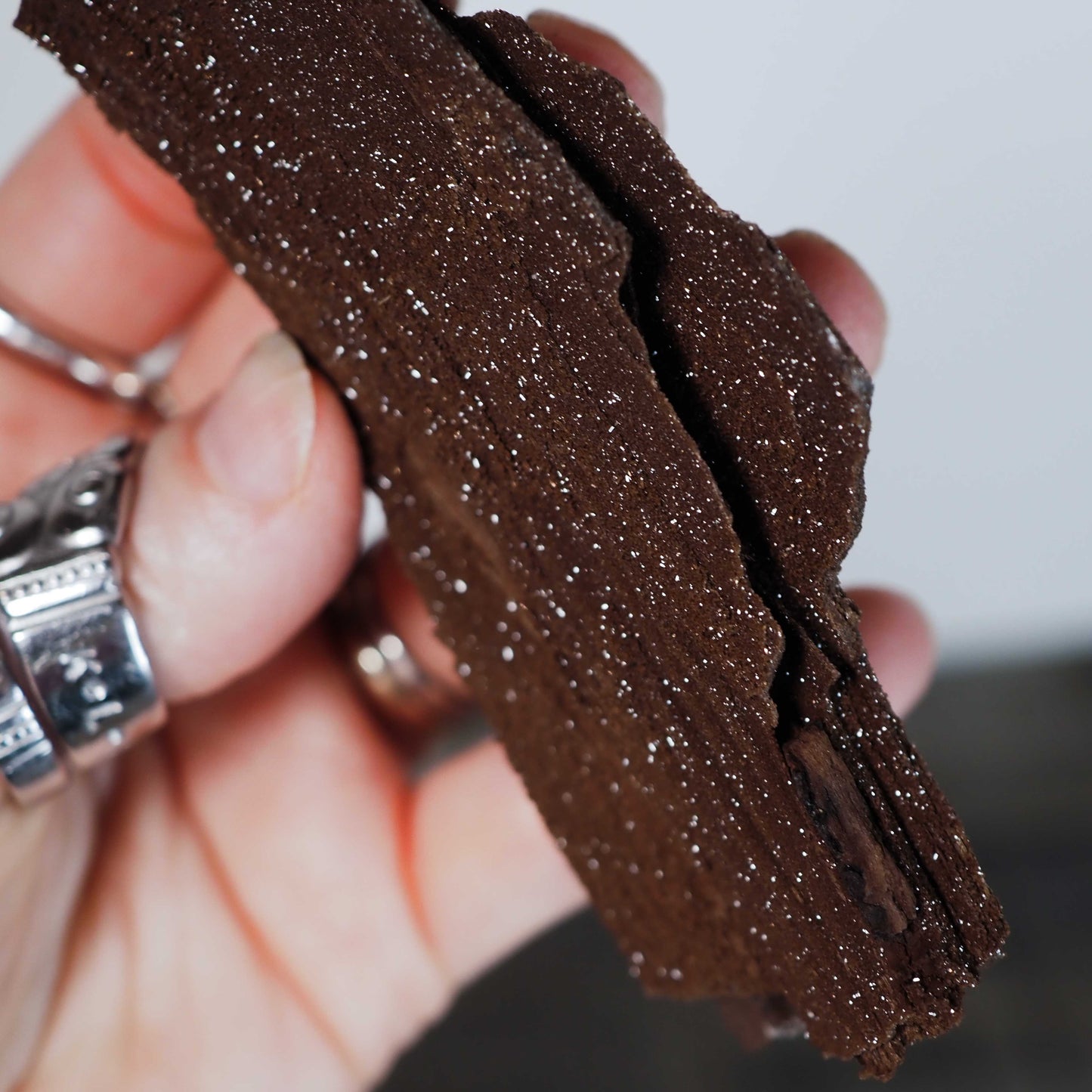 Permineralized Sparkling Fossil Wood from Germany (06)