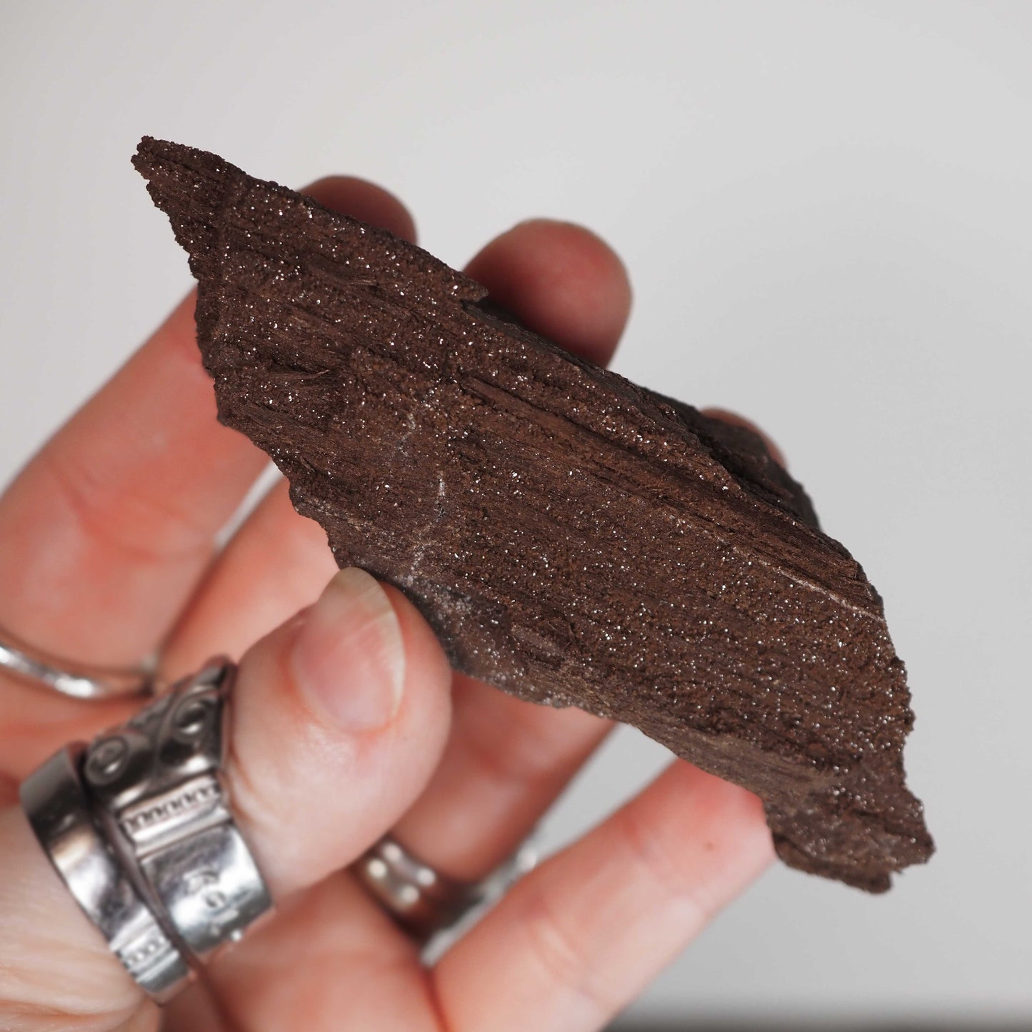 Permineralized Sparkling Fossil Wood from Germany (17)