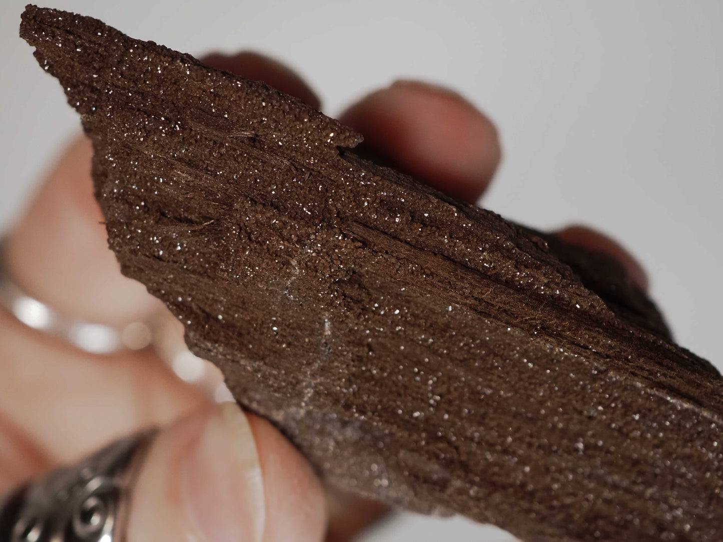 Permineralized Sparkling Fossil Wood from Germany (17)