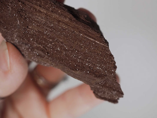 Permineralized Sparkling Fossil Wood from Germany (17)