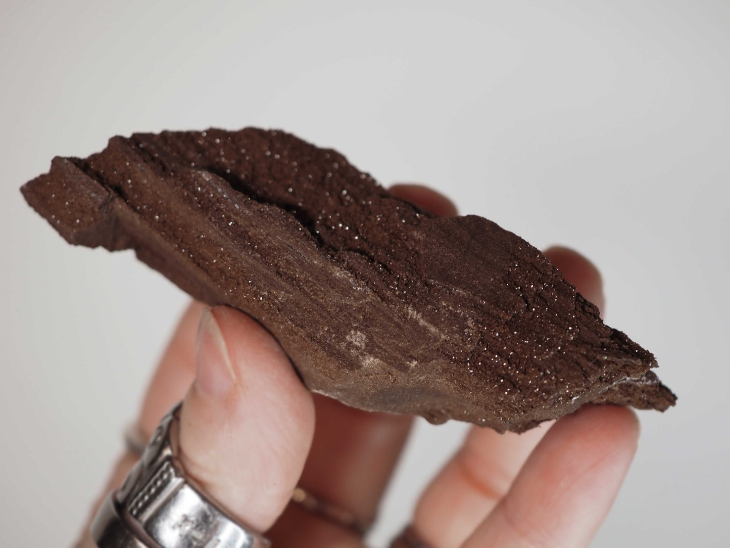Permineralized Sparkling Fossil Wood from Germany (17)