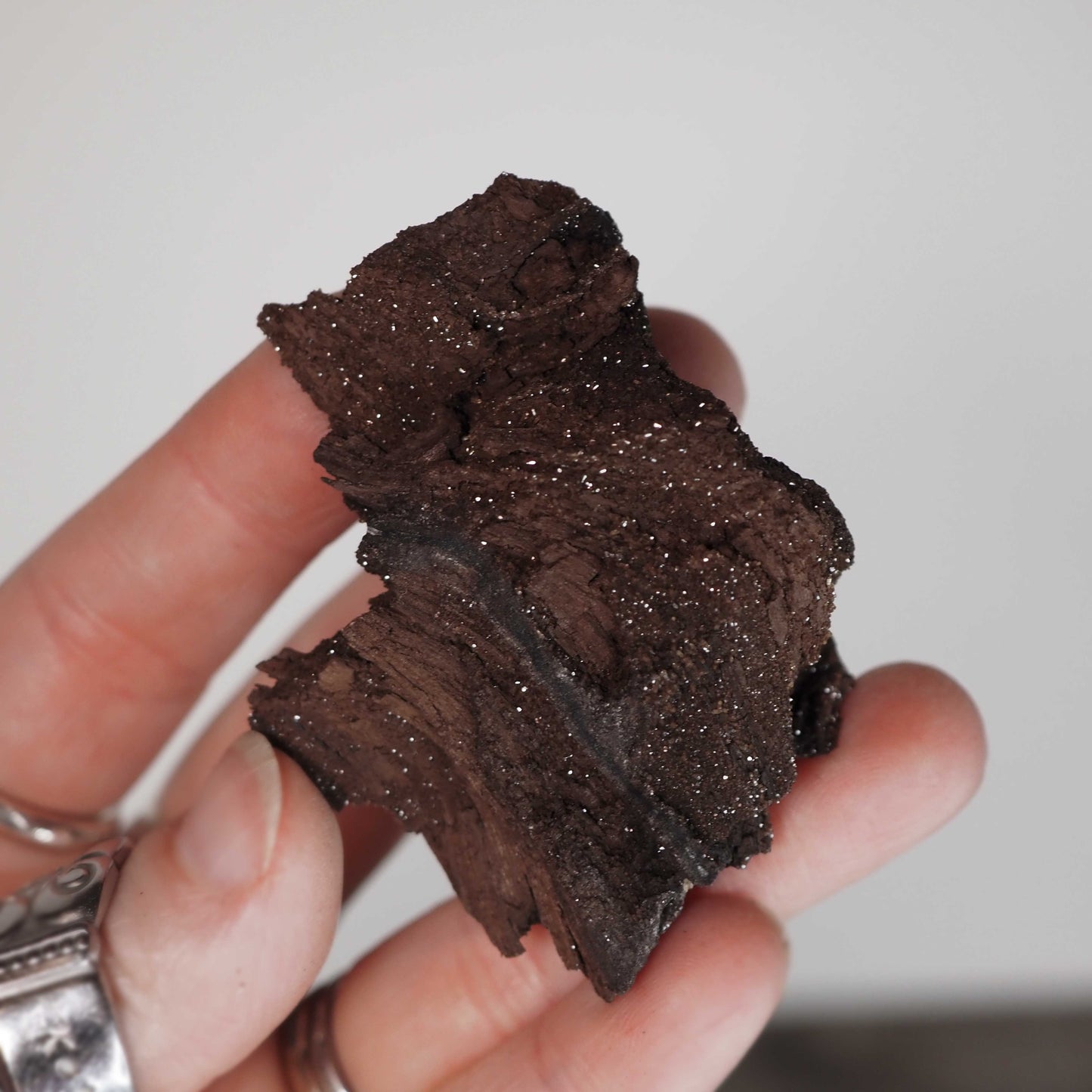 Permineralized Sparkling Fossil Wood from Germany (20)