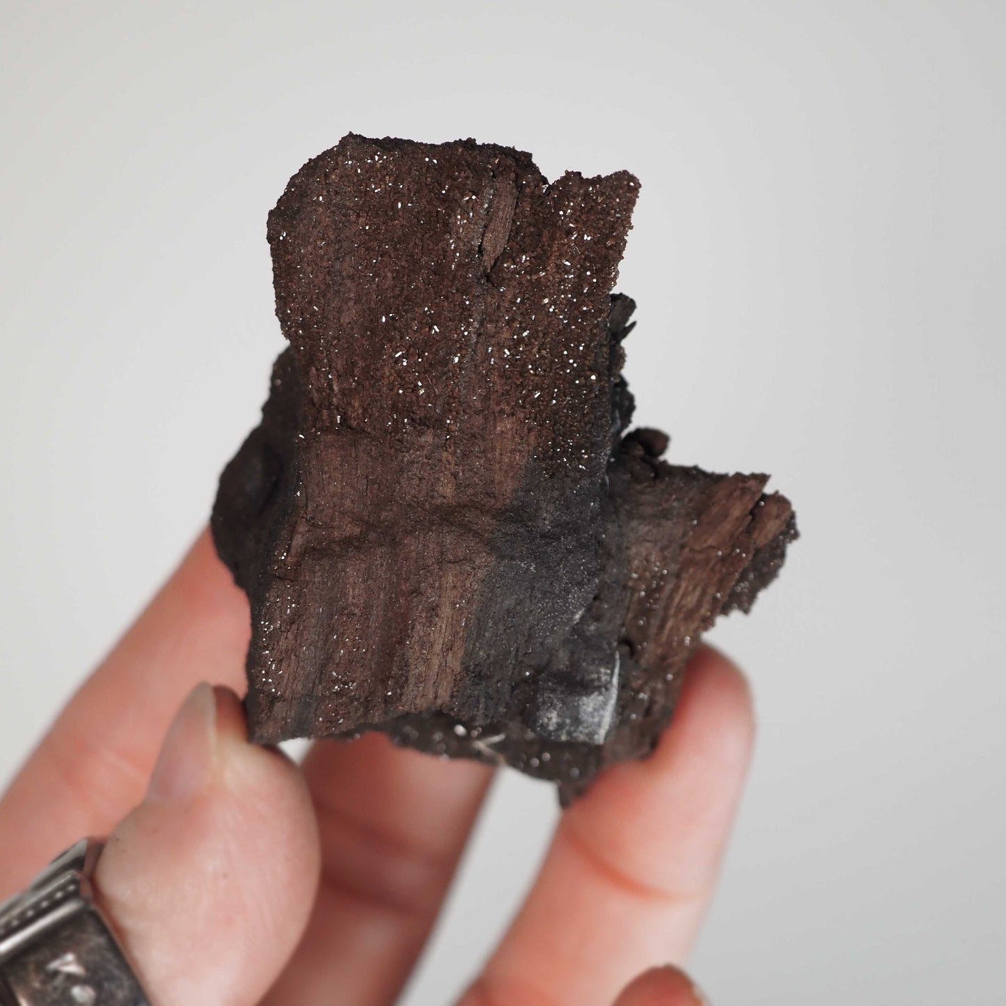 Permineralized Sparkling Fossil Wood from Germany (20)