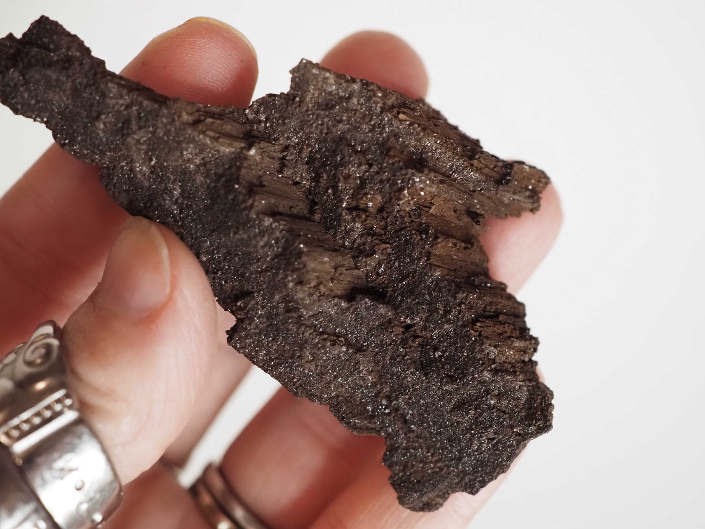 Permineralized Sparkling Fossil Wood from Germany (21)