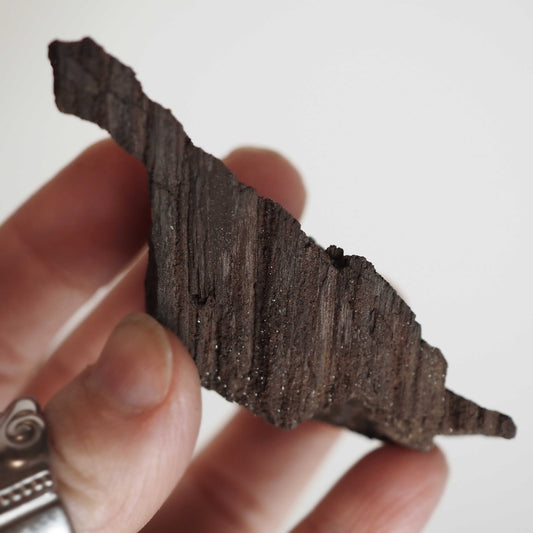 Permineralized Sparkling Fossil Wood from Germany (21)